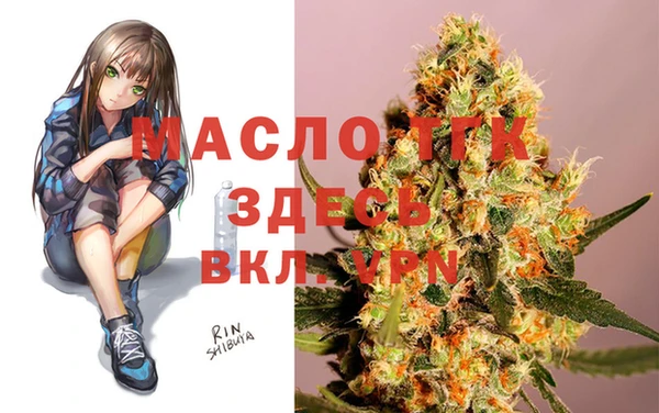 соль ск Алзамай