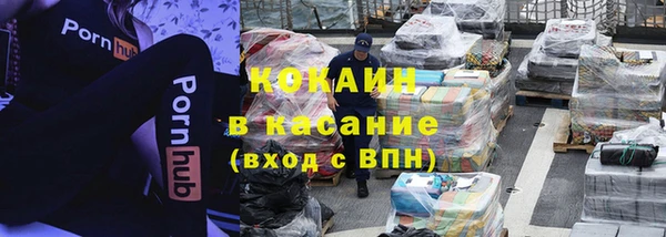 соль ск Алзамай