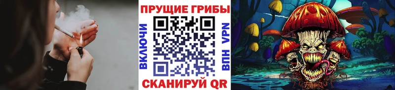 mega ссылка  Сосновка  Псилоцибиновые грибы прущие грибы 